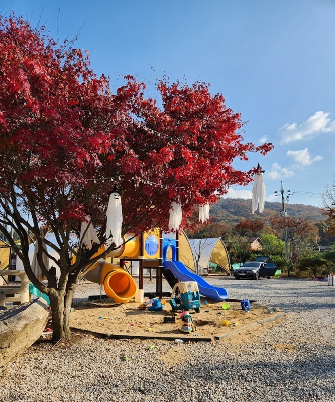 안성 호수뷰 캠핑장 히든캠프 명당 그린존 두가족 사이트...