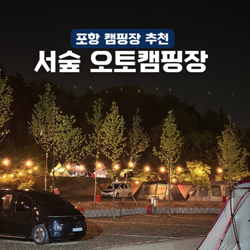 포항 캠핑장 추천ㅣ오토캠핑부터 장박까지 가능한 신상 서숲...