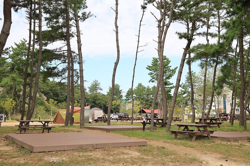 울주해양레포츠센터 야영장 시설 사진 19