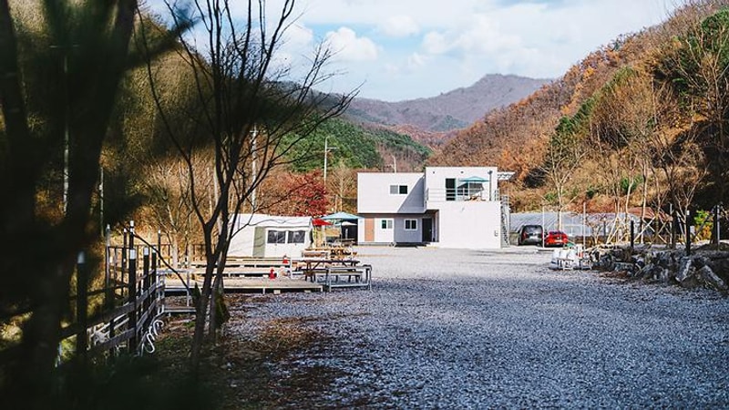 몽리치 대표 사진