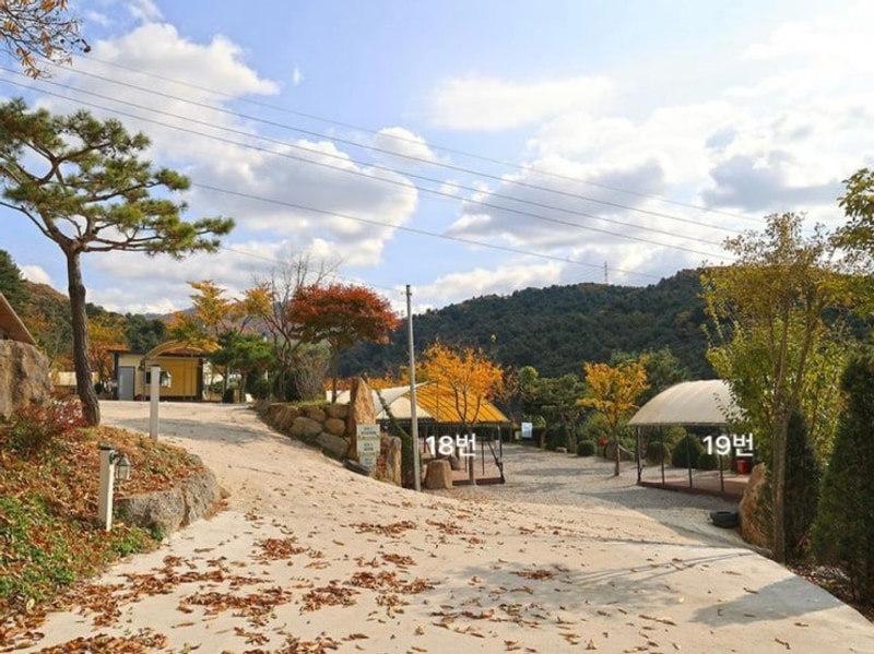 [경기 포천] 포천 캠핑장 금동휴양림캠프2 데크+타프존 18번 후기