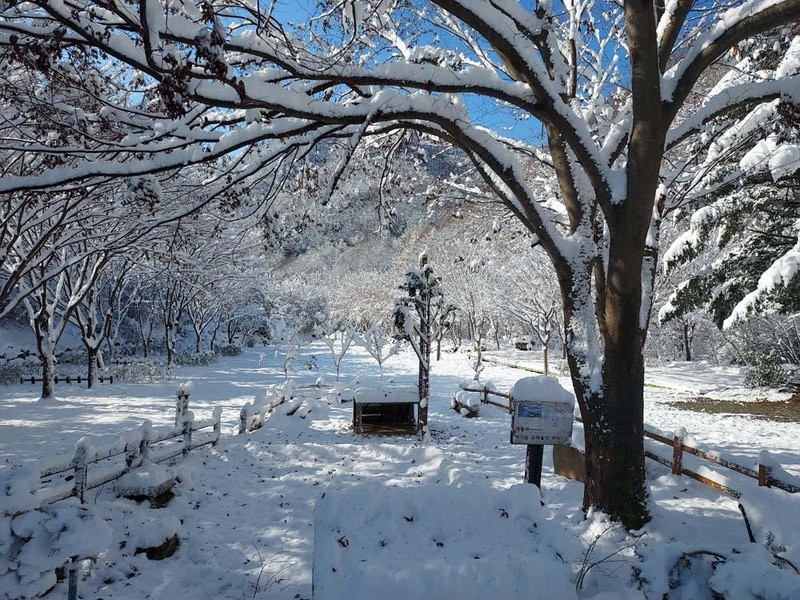횡성산울림오토캠핑장 시설 사진 40