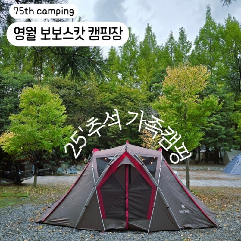 영월 보보스캇의 가을 추석캠핑 (feat. 가족들)