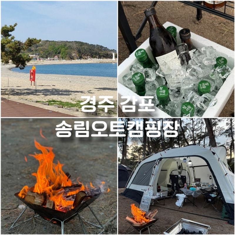 감포 바다 캠프 경주 오션뷰 캠핑장 D9 사이트 송림오토캠핑장