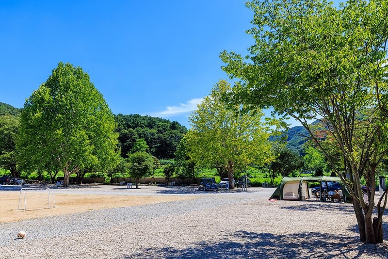 솔부엉이 캠핑장 시설 사진 12