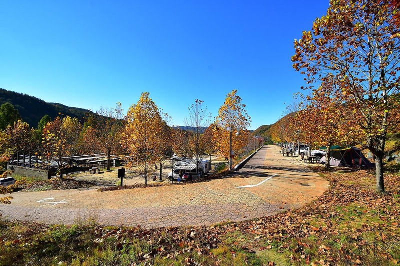 주왕산국립공원 상의자동차 야영장 시설 사진 13