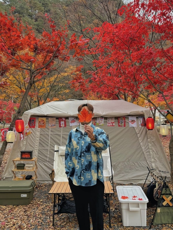 [영월] 로맨틱 성공적 단풍캠 예그리나숲 캠핑장 명당