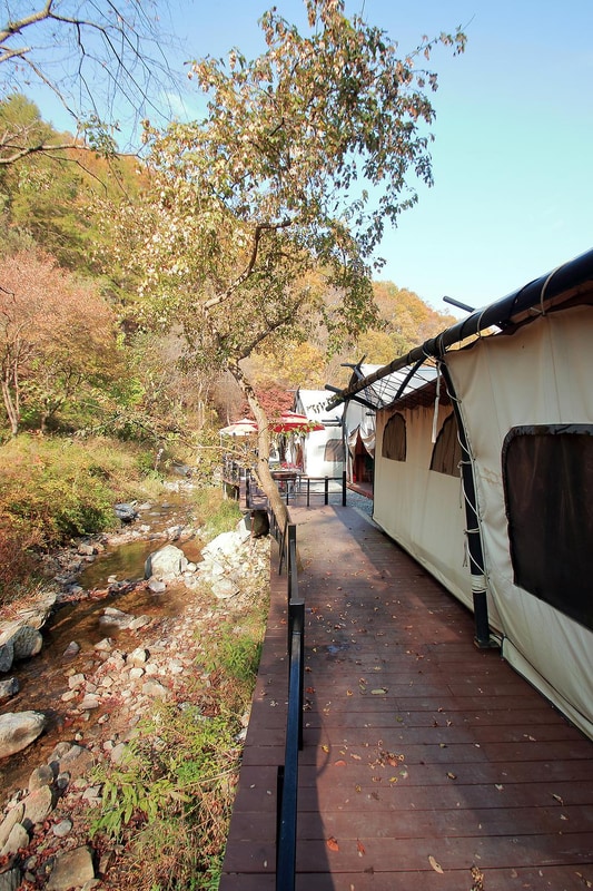 석산계곡 코코비발디 글램핑  카라반 오토캠핑장 시설 사진 6