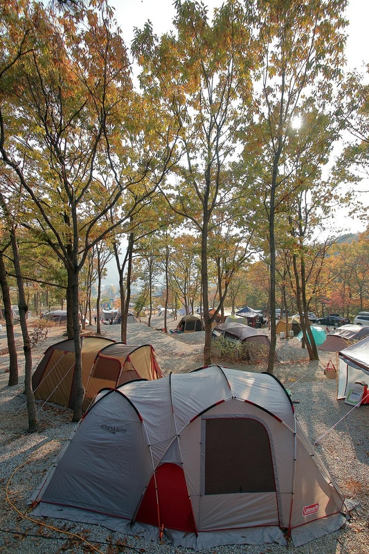 낭만에코파크 시설 사진 5