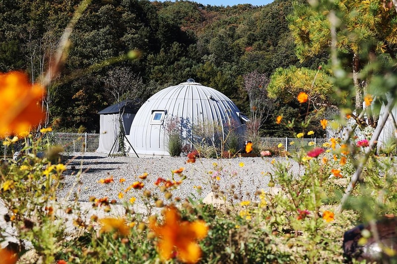 돔 아일랜드 304 시설 사진 3