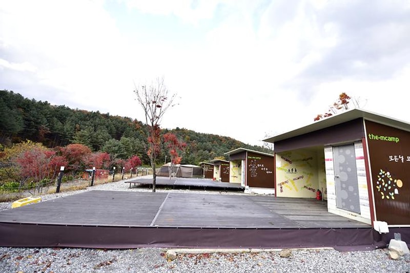 더엠캠프 대표 사진