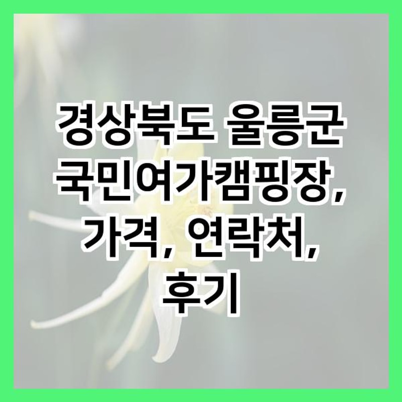 경상북도 울릉군 국민여가캠핑장, 가격, 연락처, 후기