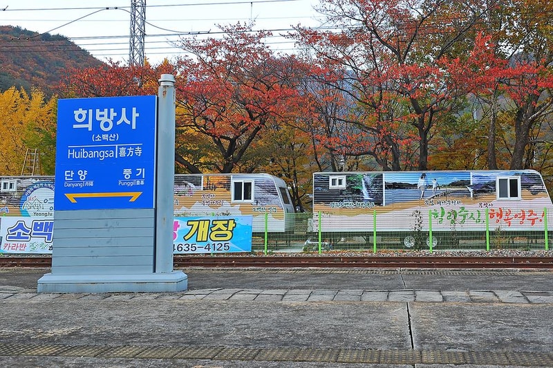 영주시 소백산역 캠핑장 시설 사진 13