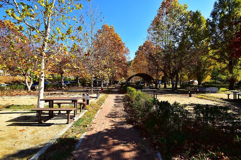 주왕산국립공원 상의자동차 야영장 시설 사진 16