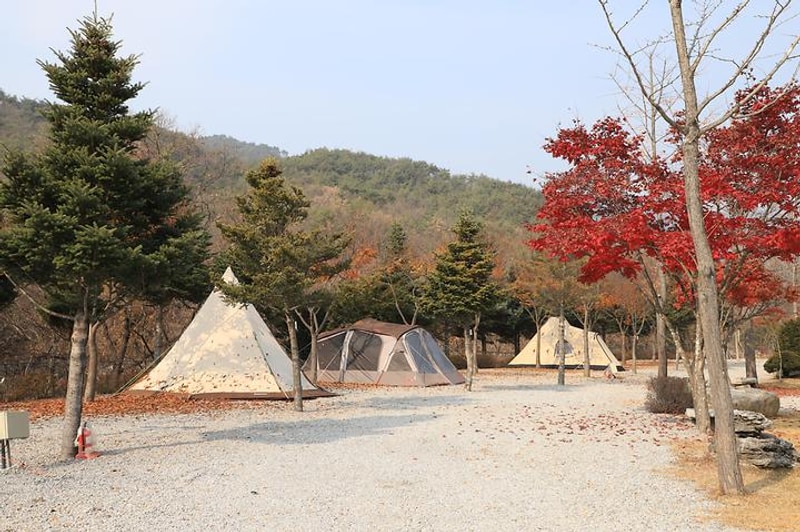 프라임캠핑장 대표 사진
