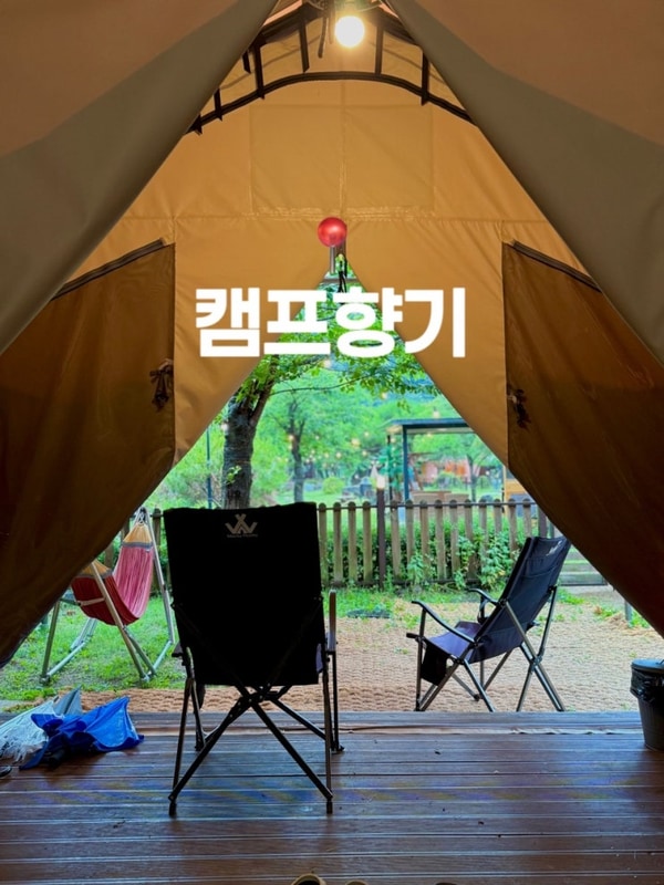 당일치기 글램핑!️ 반려견 동반 가능한 캠핑장 캠프향기 후기