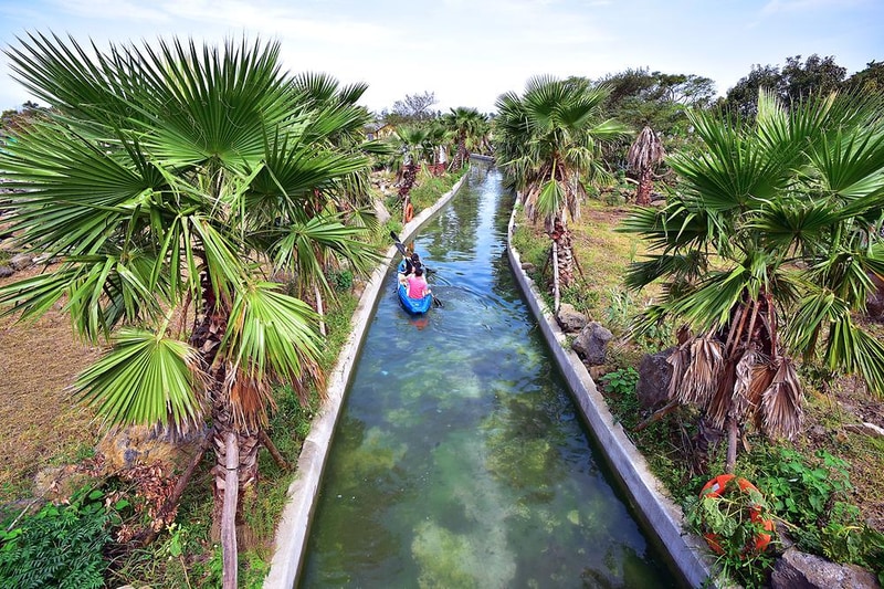 비체올린 시설 사진 9