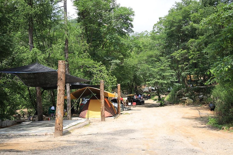 평창 태기산 캠핑장 펜션 시설 사진 14