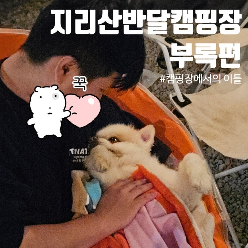 산청 캠핑장 지리산 반달 캠핑장 애견동반 캠핑장 캠핑 음식 추천