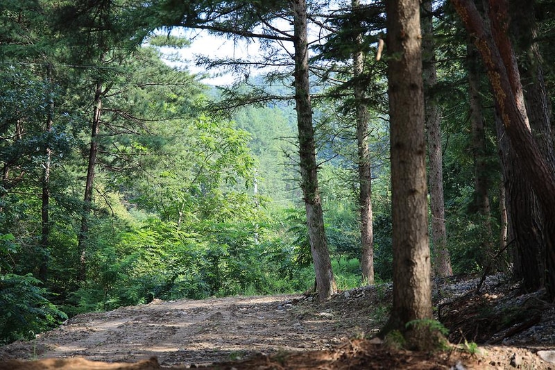 횡성 노다지야영장 불타는 삼촌 시설 사진 22