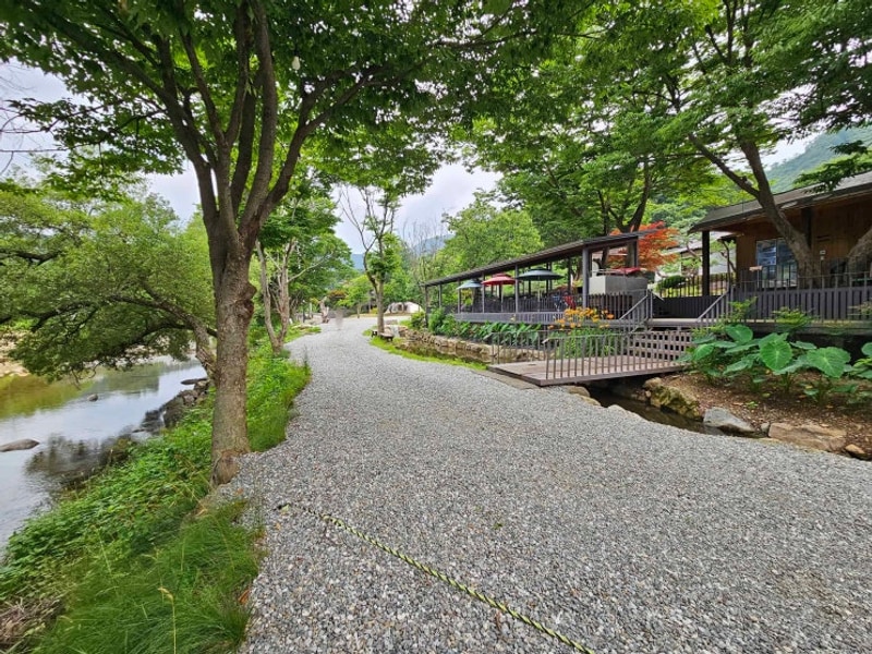 고기굽고 물놀이 당일치기 동창모임, 양평 온누리캠핑장에서