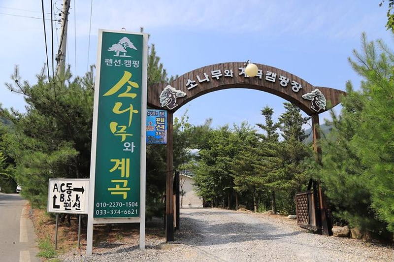 소나무와 계곡 캠핑장 대표 사진
