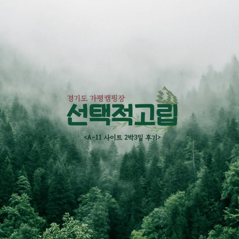 애견동반 가평캠핑장 선택적고립 A-11 사이트 2박3일 캠핑후기