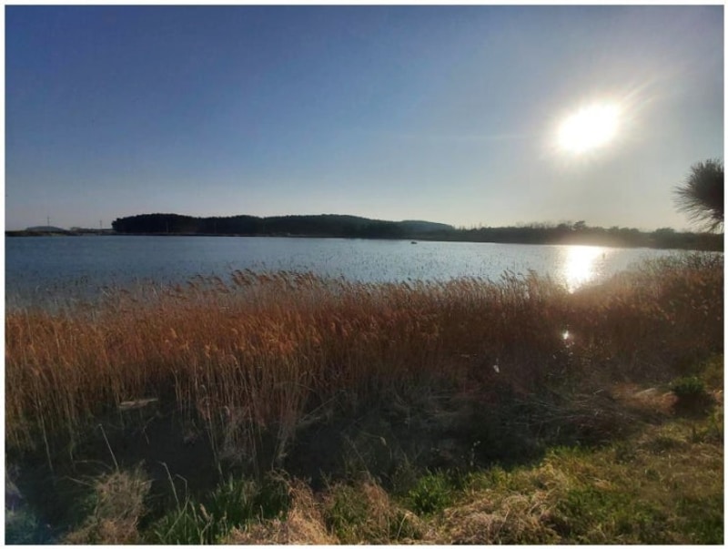 태안카라반 태안 안면도 비비애견동반캠핑장은 낭만과 실용을...