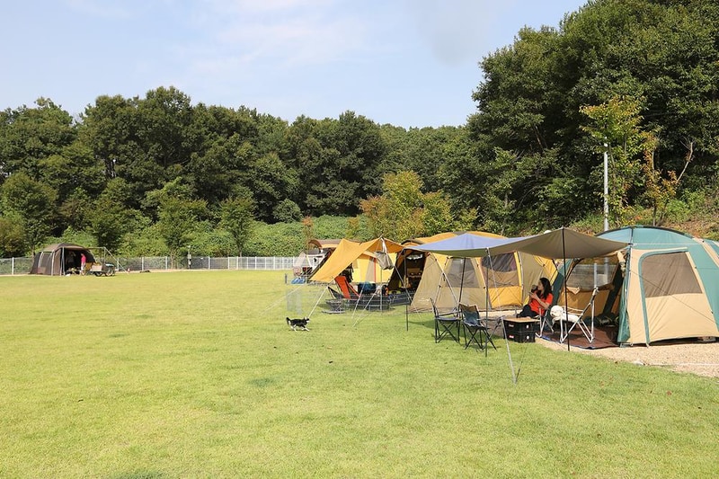 피플앤독 힐링캠핑장 시설 사진 6