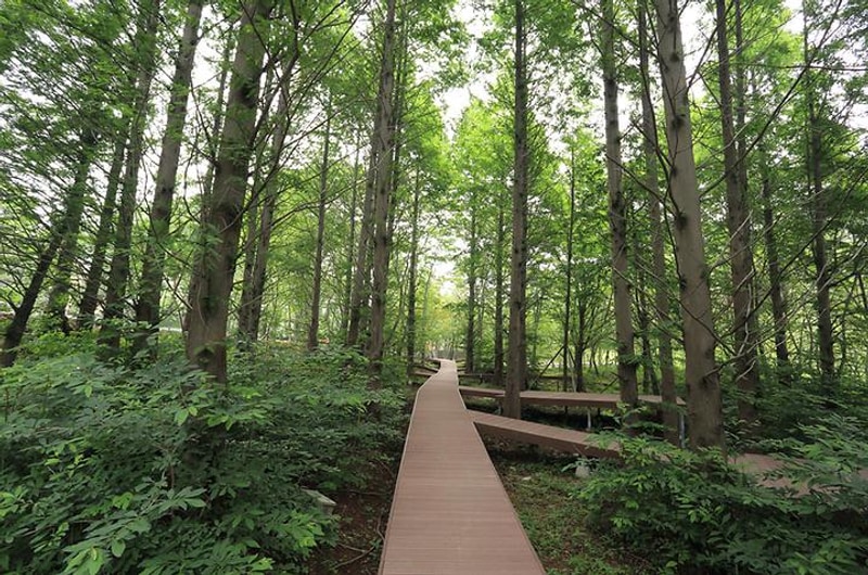 노꼬담꼬 대표 사진