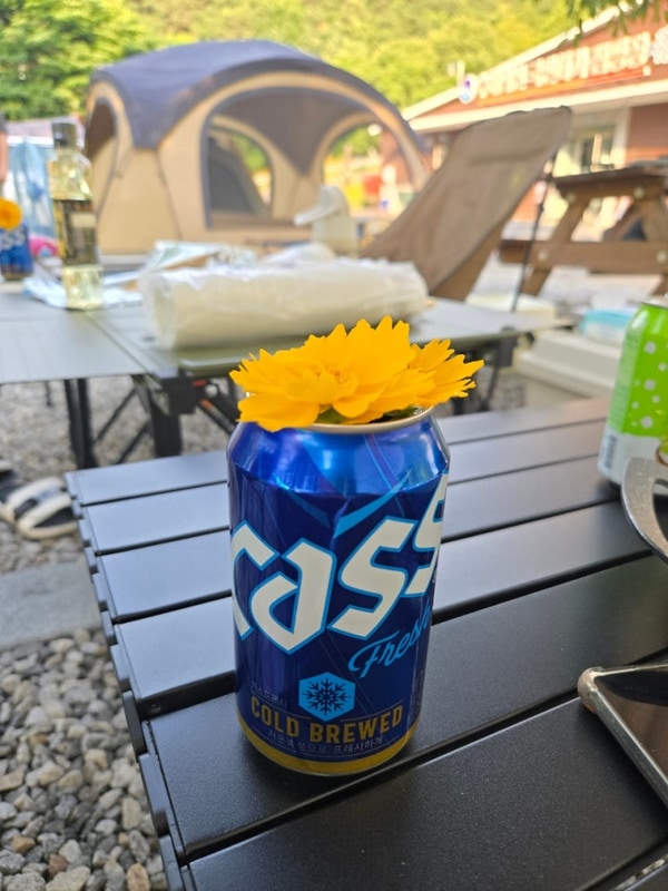 음성 캠핑장 수레의산자연휴양림 국민여가캠핑장 다녀왔어요