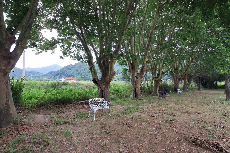 잉카마야박물관&캠핑장 시설 사진 21