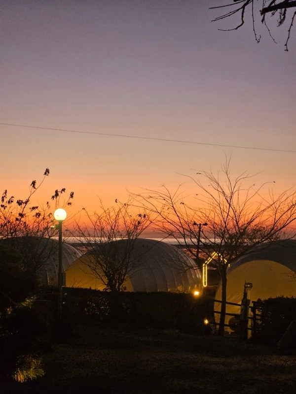[내돈내산] 바다로글램핑/박승광해물손칼국수 후기