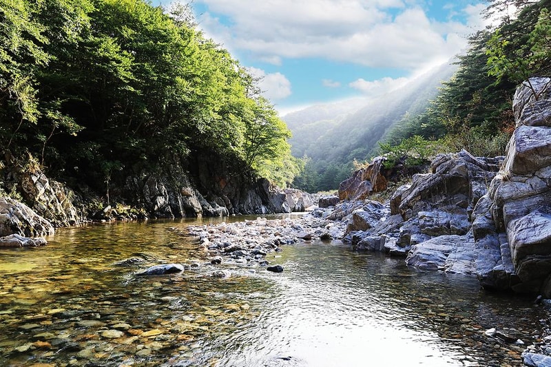 법수치오토캠핑장 시설 사진 19