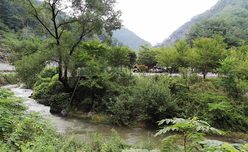 영월약수터 오토캠핑장 시설 사진 4