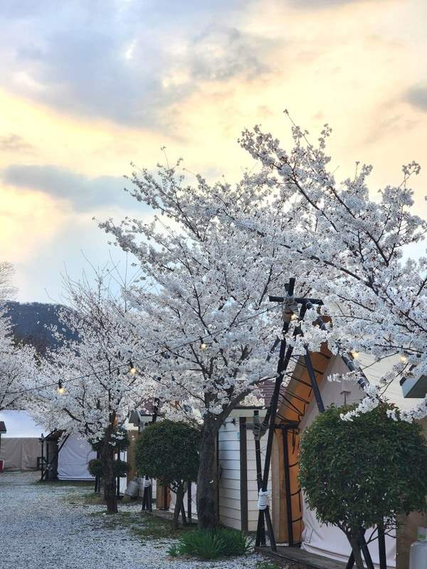 포항 글램핑 추천 북구 엘포리글램핑