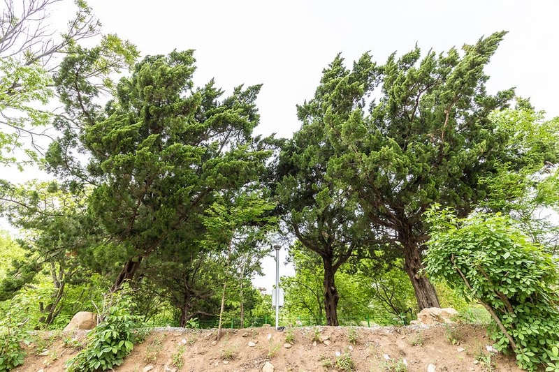 가야산 캠핑장 시설 사진 3