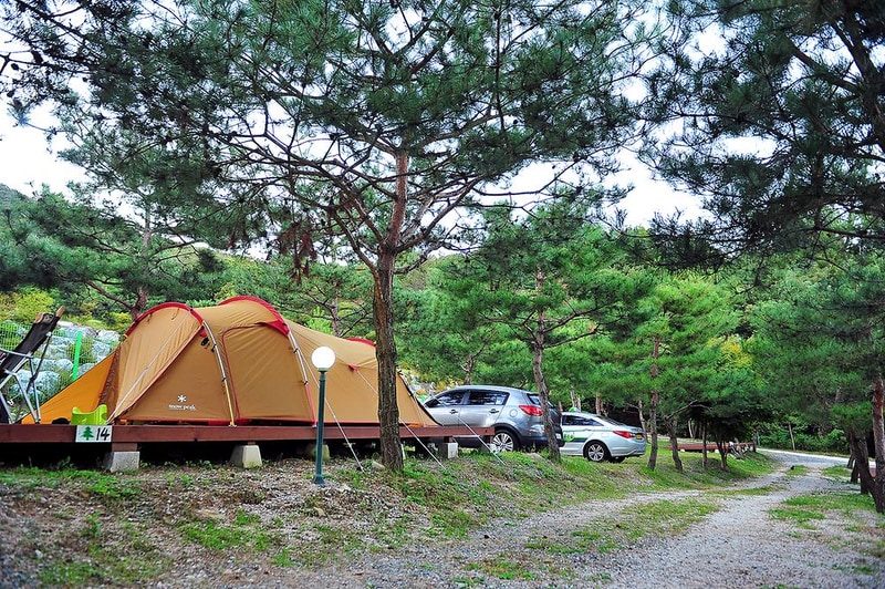 소나무농원 캠핑장 시설 사진 12