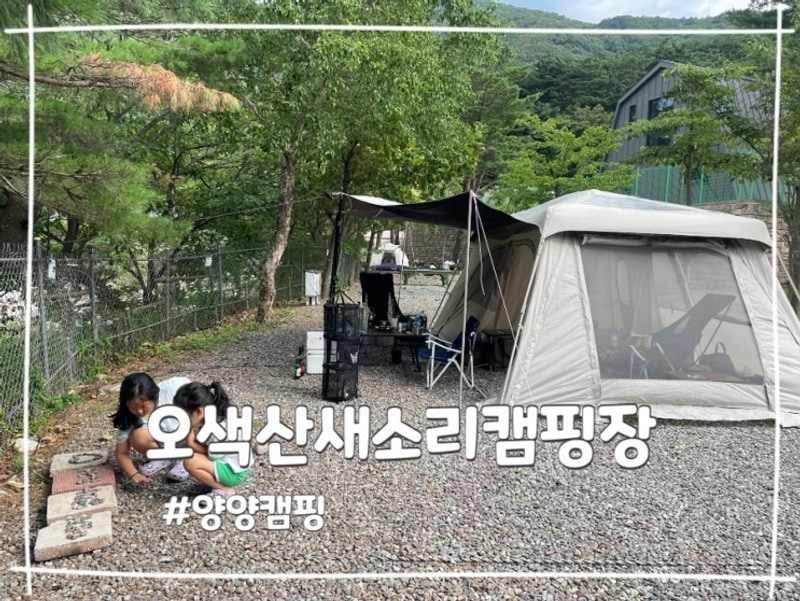 강원 양양 오색산새소리캠핑장 가족여행 계곡 추천