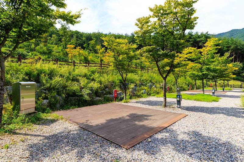 청도자연휴양림 대표 사진