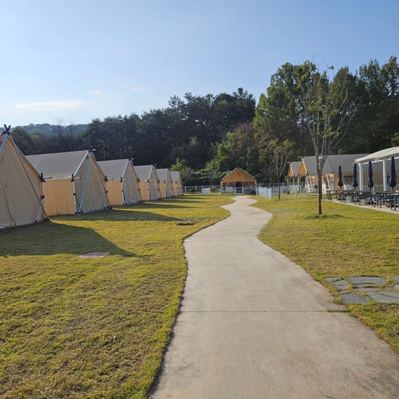 경북 칠곡 왜관 하이스트 글램핑장 후기 | 대구근교 완벽 가을여행