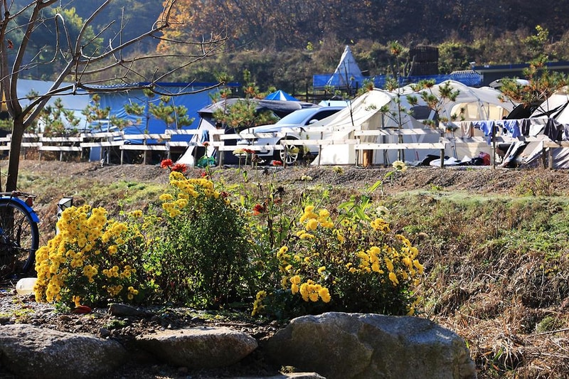 숲속의쉼터 키즈 시설 사진 2