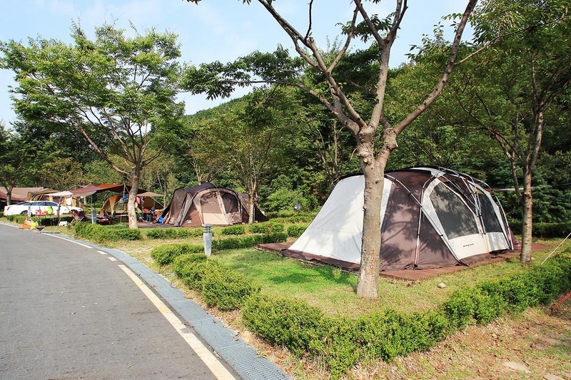 인삼골오토캠핑장 시설 사진 5