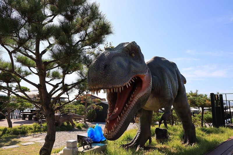 쥬라기 카라반 시설 사진 12