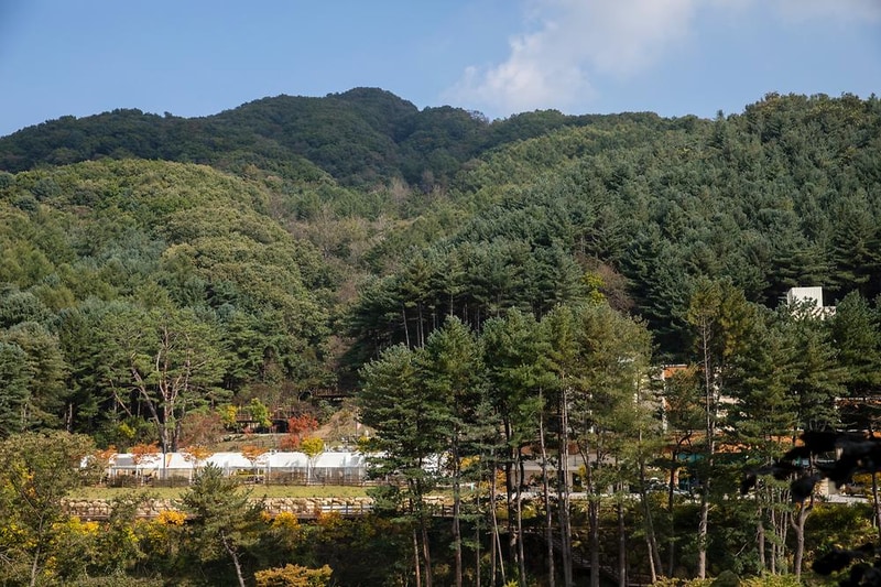 동두천 자연휴양림 시설 사진 8