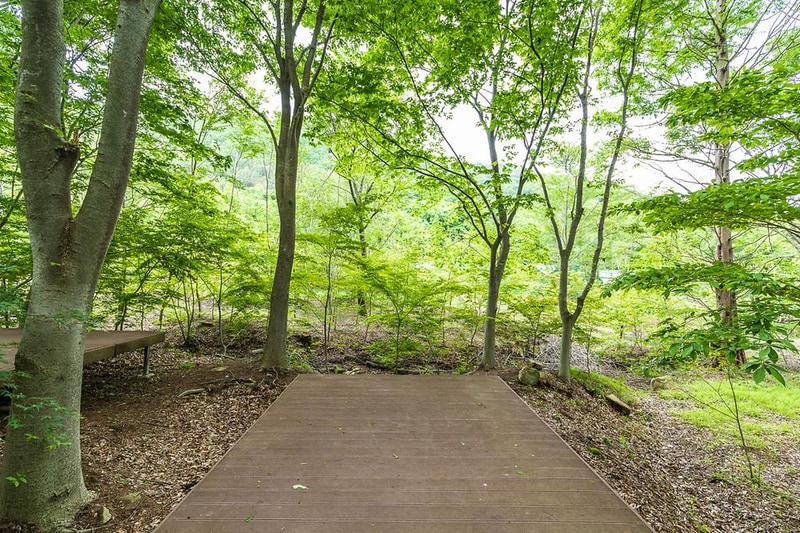 노꼬담꼬 시설 사진 5