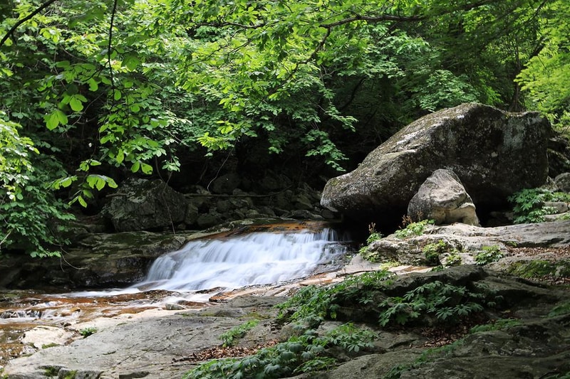 강원도산림개발연구원 집다리골자연휴양림 시설 사진 2
