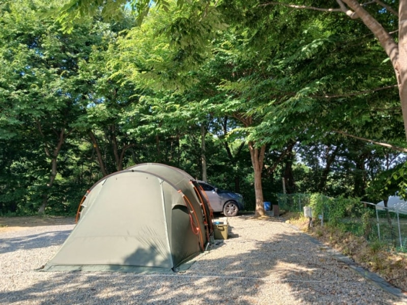 [파주 산머루농원캠핑장] 서울에서 가까운 캠핑장 ! 산머루농원...