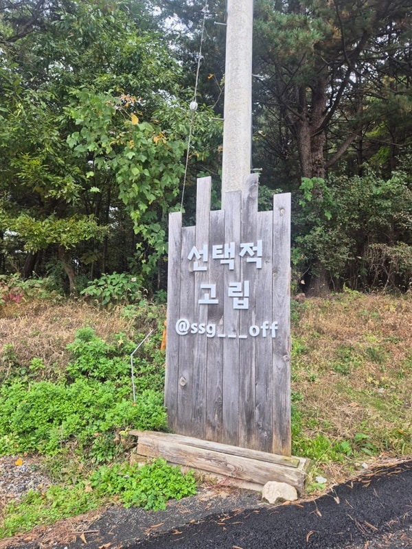 서울근교 가평 선택적고립캠핑장 B7사이트 애견동반 솔직후기