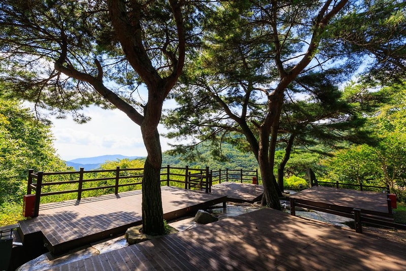 팔공산국립공원 갓바위야영장 시설 사진 25